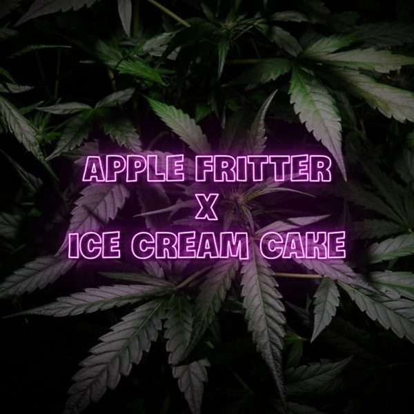 apple fritter ice cream cake seeds