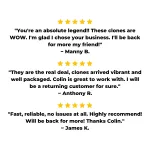 Cannabis Clones Mix & Match 6 Pack