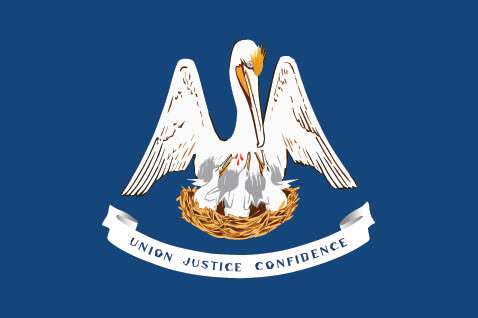 louisiana state flag