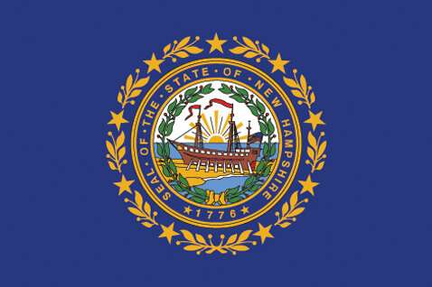 New hampshire State Flag