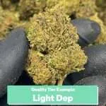 THCa Flower Quarter Pounds